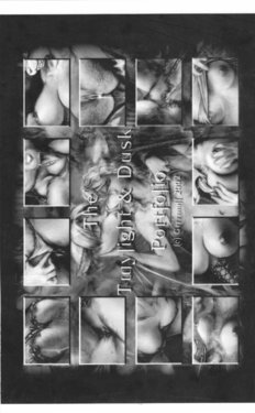 Twilight Dusk to Dawn