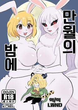 (Kemoket 12) [Kuri Gohan (Yocchi)] Mangetsu no Yoru ni | 만월의 밤에 (One Piece) [Korean] [LWND]
