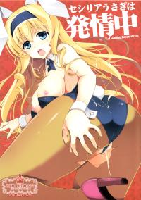 Free Hentai Doujinshi Gallery: (C85) [RED CROWN (Ishigami Kazui)] Cecilia Usagi wa Hatsujou Chuu (Infinite Stratos) [English] (Rapid Switch)