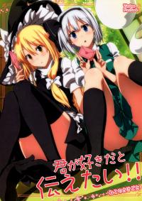 (Reitaisai 11) [Neko no Sakegoto (Sazanami Mio)] Kimi ga Suki da to Tsutaetai! | I Want To Tell You That I Love You!! (Touhou Project) [English] {Gaku Gaku Animal Land}