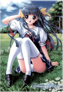 [O-Din] Tender Breeze