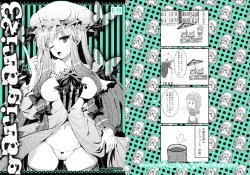 (COMIC1☆4) [Alemateorema (Kobayashi Youkoh)] GariGari 23 (Touhou Project)