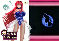 [Nakaumikan (Nakaumi Mikage)] Bakuchichi S Ichi (Various)