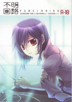 Free Hentai Doujinshi Gallery: (C77) [JUDGEMENT (Shino Lion)] Fumei Kairo (Gundam 00)