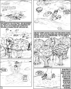 Free Hentai Western Gallery: [David Von Foxkin] First Time