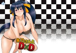 Free Hentai Doujinshi Gallery: (COMIC1☆6) [Shijou Misaki (Satou Souji)] Akeno-san to DxD (High School DxD) [English] [HIGH-RES]