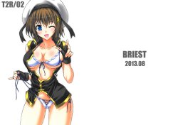 Free Hentai Gallery: (C84) [BRIEST (Yatsushima Tetsuya)] T2R02 (Various)