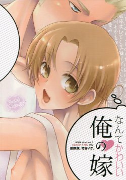 Free Hentai Doujinshi Gallery: (C86) [Koutetsuro. (Sakiika.)] Nante Kawaii Ore no Yome | How Cute is my Wife (Axis Powers Hetalia) [English]