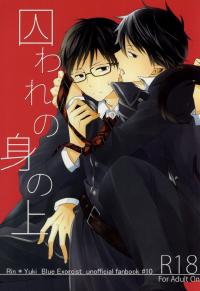 Free Hentai Doujinshi Gallery: (Hyouteki 00) [R-nico (Sawa)] Toraware no Minoue (Ao no Exorcist)