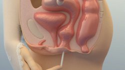 [Bambina] 下のお口で味見［挿入編B］ (GIF + Frames) (pixiv.69251891)