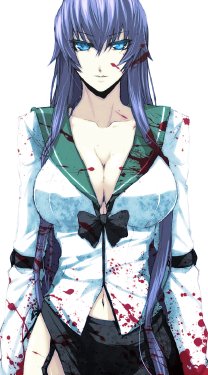 Free Hentai Non-H Gallery: Busujima Saeko non-hentai gallery