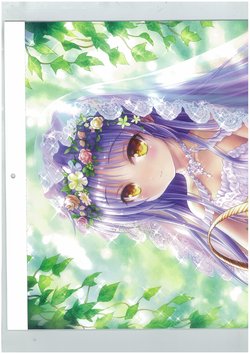 tenshi chan calendar 2018 （Imcomplete）