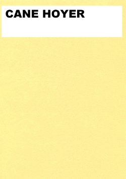 EROTIC ART COLLECTOR 0084 CANE HOYER