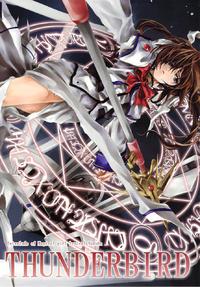Free Hentai Non-H Gallery: (C72) [RAID SLASH (Yahiro)] THUNDERBIRD (Mahou Shoujo Lyrical Nanoha) [English]