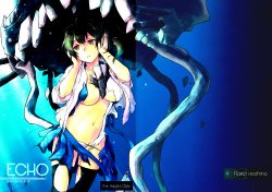 Free Hentai Doujinshi Gallery: (Ware, Yasen ni Totsunyuu su! 2) [Hoshino Seikaten (Hoshino Ichiyoru)] Echo (Kantai Collection -KanColle-)