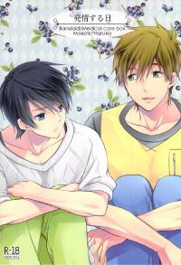 Free Hentai Doujinshi Gallery: (COMIC CITY SPARK 8) [Medical care box (Bandaid)] Hatsujou suru Hi (Free!) [English] [Baka Dumb Aho Scans]