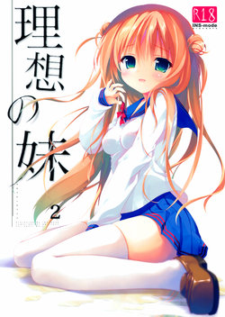 Free Hentai Doujinshi Gallery: (C89) [INS-mode (Amanagi Seiji)] Risou no Imouto 2 [English] [biribiri]