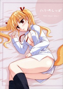 Free Hentai Doujinshi Gallery: (C68) [Heppoko Youchien (Haruwemon)] Harry no Shippo (School Rumble)