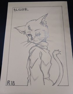 (C87) [Mini Salad (Ie Neko)]  Sonna Nichijou.