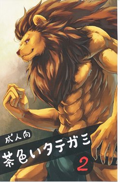 Free Hentai Doujinshi Gallery: (C82) [Soukuu (SKY, Sougo)] Chairoi Tategami 2