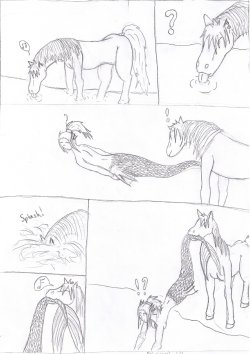 [Svartvinge] Horse fishing