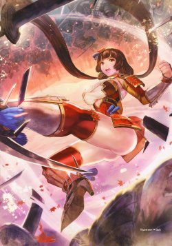 samurai warriors 4(Sengoku Musou 4) Artbook