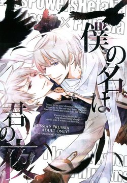 Free Hentai Doujinshi Gallery: [LOVEPOTIONNO.9 (Ichinomiya Shihan)] Boku no Namae wa Kimi no Yoru (Axis Powers Hetalia) [Chinese]