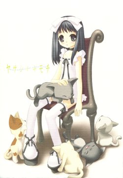 (C74) [SOLDIER FROG (Hinoue Itaru)] Yasashii Kimochi