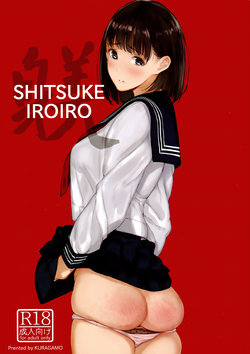 Free Hentai Doujinshi Gallery: (C91) [Kuragamo (Tukinowagamo)] SHITSUKE IROIRO [Chinese] [Benny个人汉化]