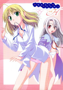(C67) [Jishou Seijunha (Hiroyuki)] PLATONIC MAGICIAN H (Fate/stay night)