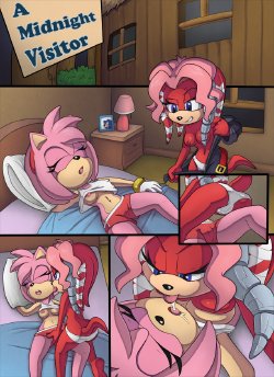 Free Hentai Western Gallery: [TheOtherHalf] A Midnight Visitor (Sonic The Hedgehog) [Ongoing]