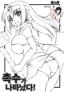 Free Hentai Doujinshi Gallery: (C74) [Absolute (Abu)] Shokushu ga Arawareta! (Dragon Quest III) (korean)