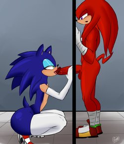 Free Hentai Western Gallery: ARTIST Sexysonicart