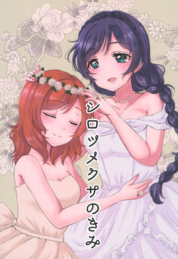 (Bokura no Love Live! 13) [furry kitty (Eneco)] Shirotsumekusa no Kimi (Love Live!)