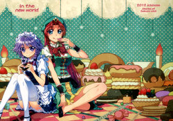Free Hentai Non-H Gallery: (C82) [Ichinose (Tarou)] In the new world (Touhou Project) [Korean]