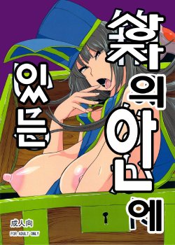 Free Hentai Doujinshi Gallery: (C80) [Mousou Deguchi (Unou)] Hako no Naka ni Iru (Dragon Quest III) [Korean]