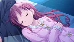 Free Hentai Game CG Set Gallery: [ALcot Honey Comb] Shunki Gentei Poco a Poco!