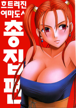 (C70) [Crimson] Midasareshi Onna Madoushi Soushuuhen | 흐트러진 여마도사 총집편 (Dragon Quest VIII) [Korean]