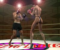 Free Hentai Misc Gallery: Great 3d boxing match