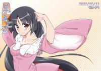 Free Hentai Non-H Gallery: (C82) [Chihagura (Hatch)] Mieteru (Touhou Project)